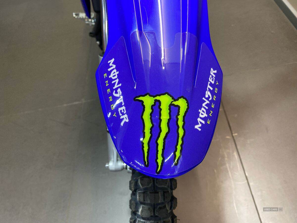  2024 Yamaha TTR Series New TTR-110 24MY, Monster Edition