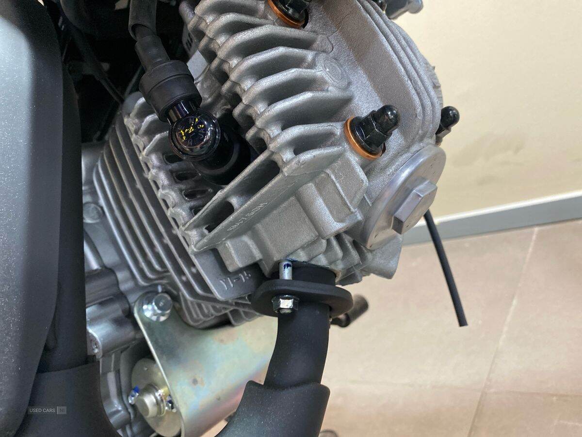  2024 Yamaha TTR Series New TTR-110 24MY, Monster Edition