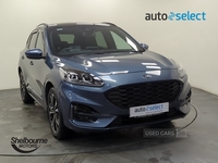 Ford Kuga 2.0 EcoBlue ST-Line X First Edition Auto AWD in Armagh