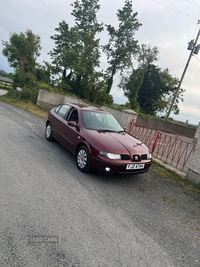 Seat TDI in Down