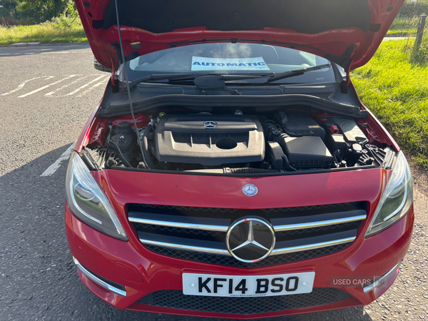 Mercedes B-Class DIESEL HATCHBACK in Tyrone