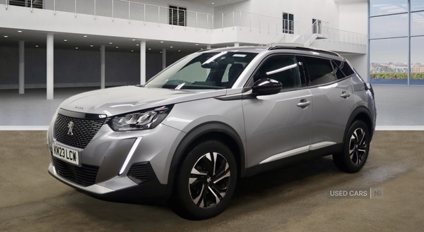 Peugeot 2008 ESTATE in Tyrone