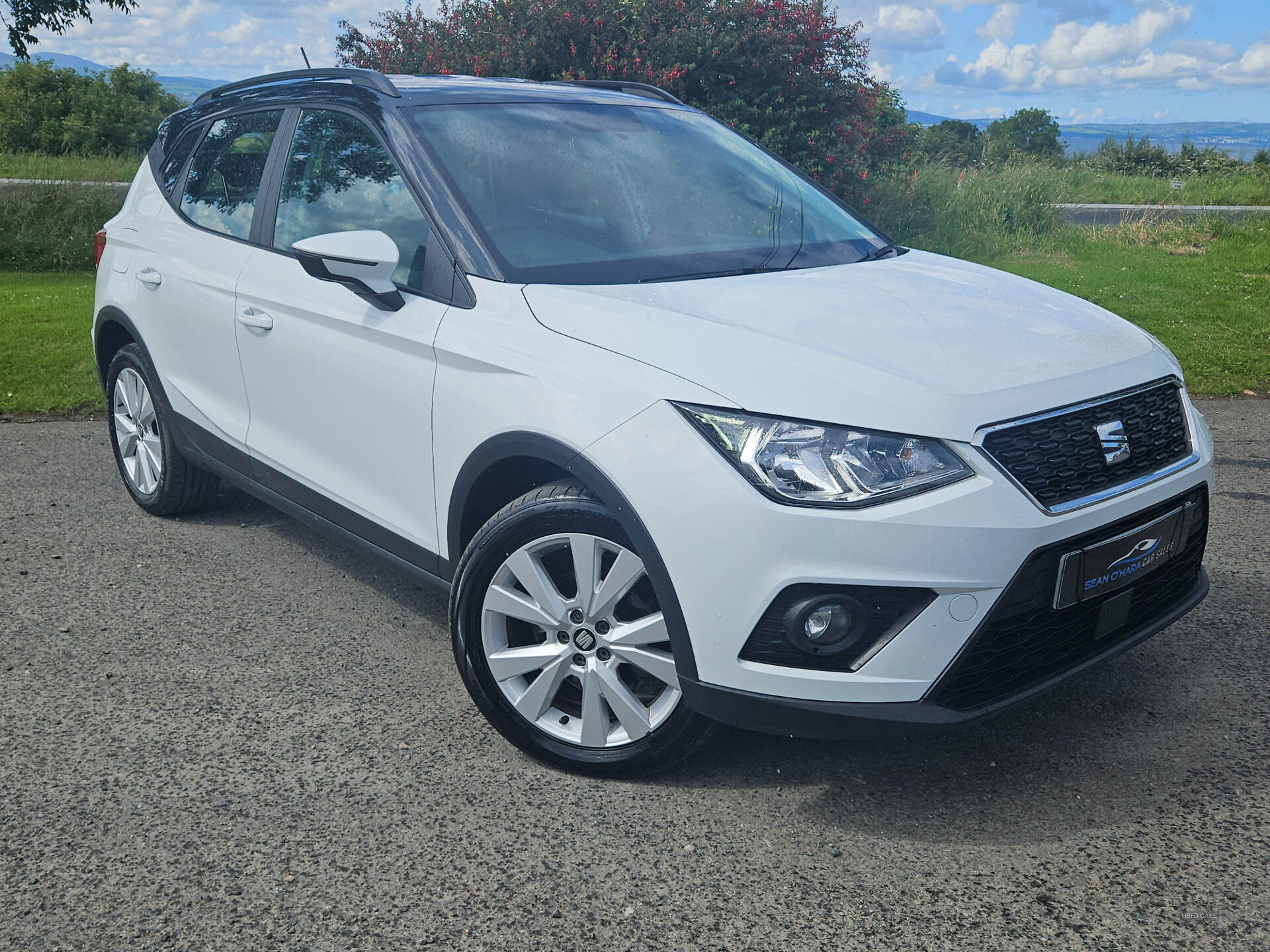 Mar 2019 Seat Arona 1.6 TDI 115 SE Technology Lux [EZ] 5dr