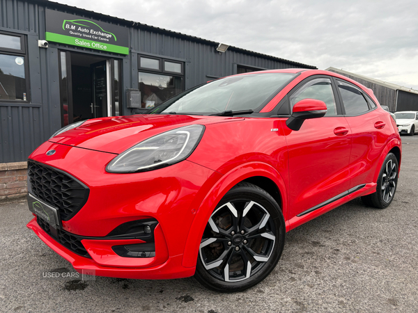Ford Puma HATCHBACK SPECIAL EDITIONS in Down