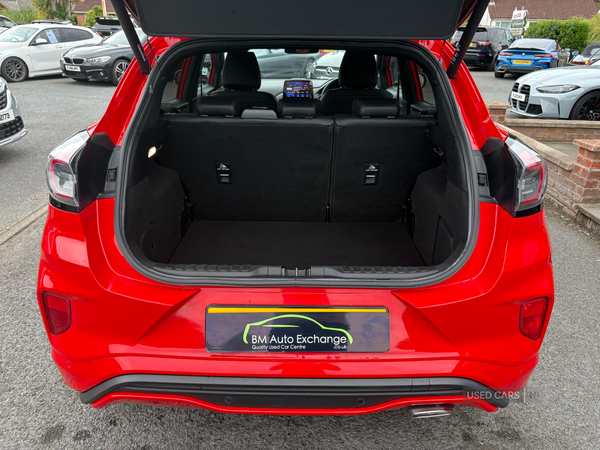 Ford Puma HATCHBACK SPECIAL EDITIONS in Down