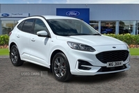 Ford Kuga 1.5 EcoBlue ST-Line Edition 5dr Auto in Antrim