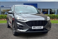 Ford Kuga 1.5 EcoBlue ST-Line X First Edition 5dr in Antrim
