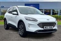 Ford Kuga 1.5 EcoBlue Titanium Edition 5dr in Derry / Londonderry