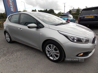 Kia Ceed HATCHBACK SPECIAL EDITIONS in Down
