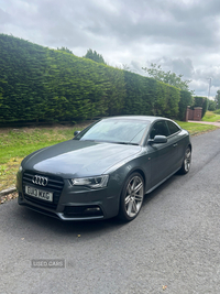 Audi A5 2.0 TDI 177 Black Edition 2dr Multitronic in Armagh