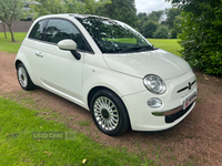 Fiat 500 HATCHBACK in Antrim