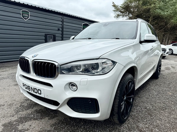 BMW X5 DIESEL ESTATE in Down