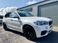 BMW X5 DIESEL ESTATE in Down