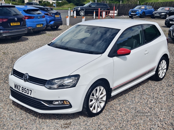 Volkswagen Polo HATCHBACK in Fermanagh