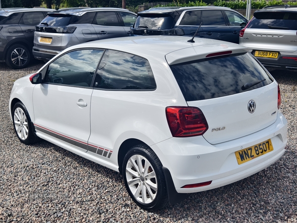 Volkswagen Polo HATCHBACK in Fermanagh