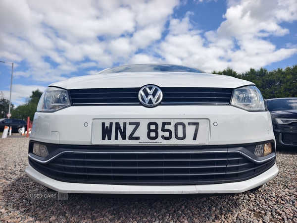 Volkswagen Polo HATCHBACK in Fermanagh