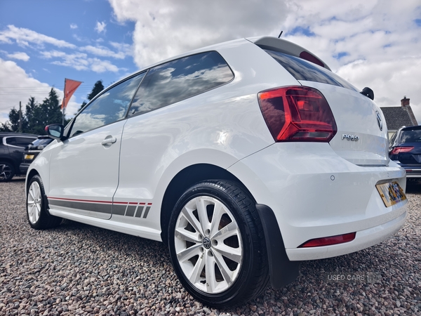 Volkswagen Polo HATCHBACK in Fermanagh