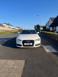 Audi A6 2.0 TDI Ultra S Line 4dr in Down