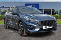 Ford Kuga 1.5 EcoBlue 120 ST-Line X Edition 5dr in Antrim