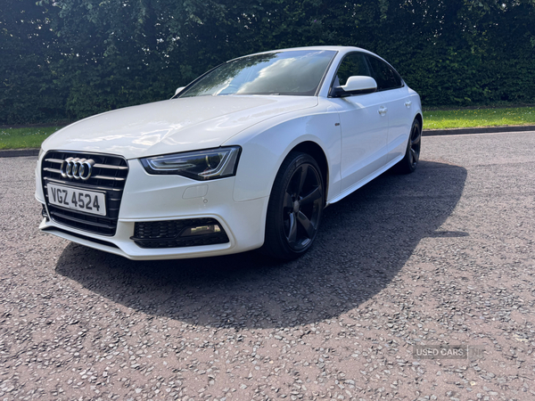 Audi A5 SPORTBACK SPECIAL EDITIONS in Down