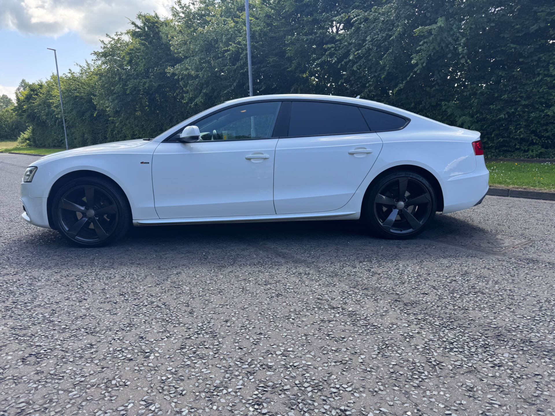 Audi A5 SPORTBACK SPECIAL EDITIONS in Down