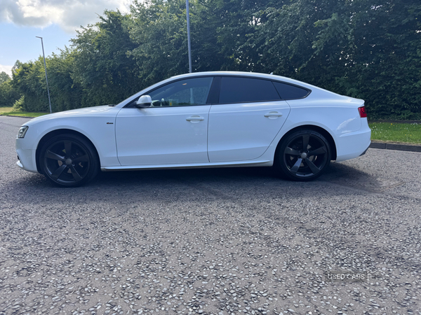 Audi A5 SPORTBACK SPECIAL EDITIONS in Down