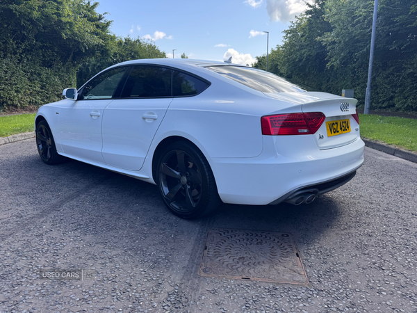 Audi A5 SPORTBACK SPECIAL EDITIONS in Down