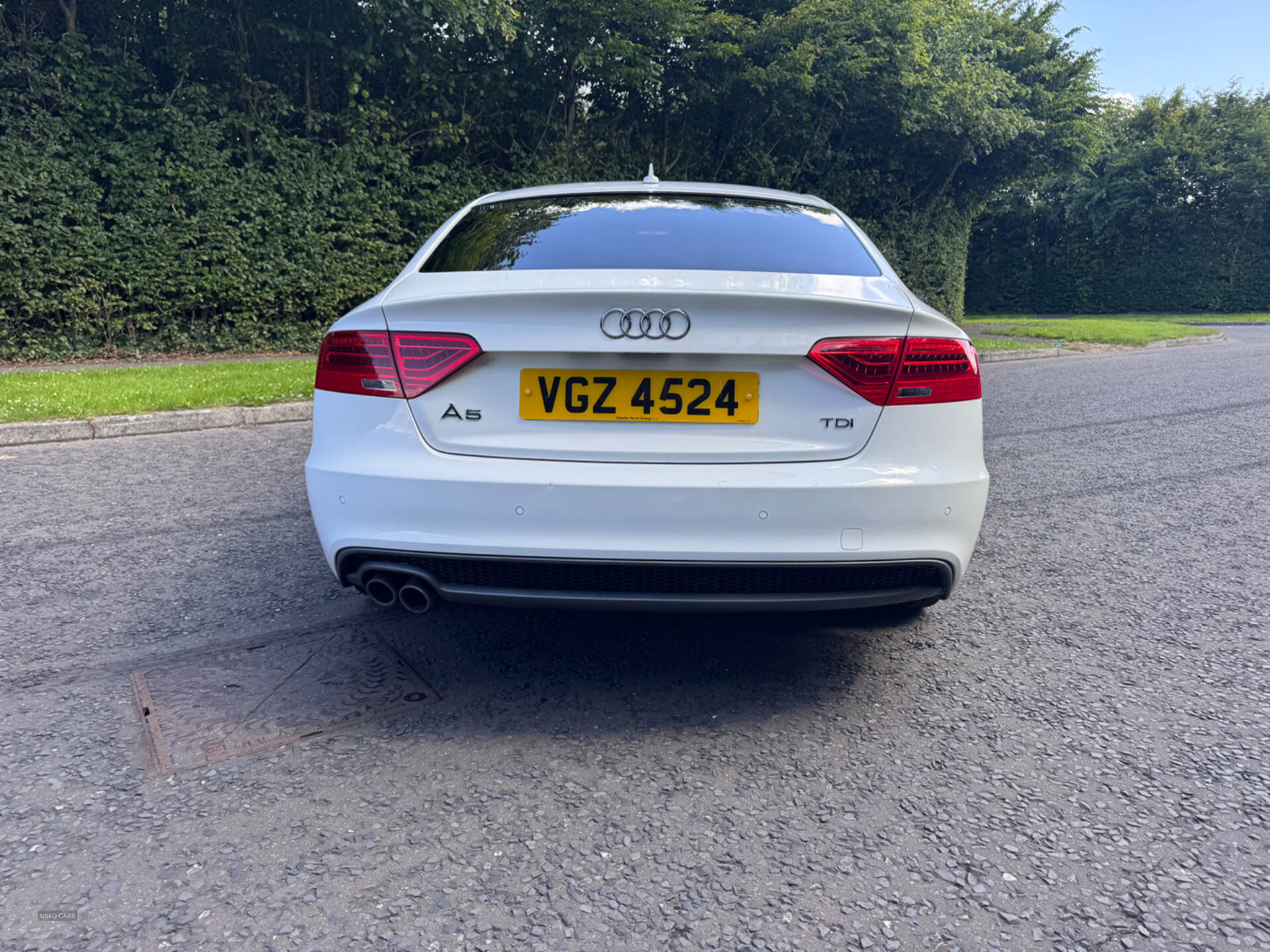 Audi A5 SPORTBACK SPECIAL EDITIONS in Down
