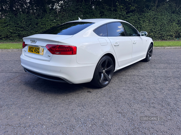 Audi A5 SPORTBACK SPECIAL EDITIONS in Down