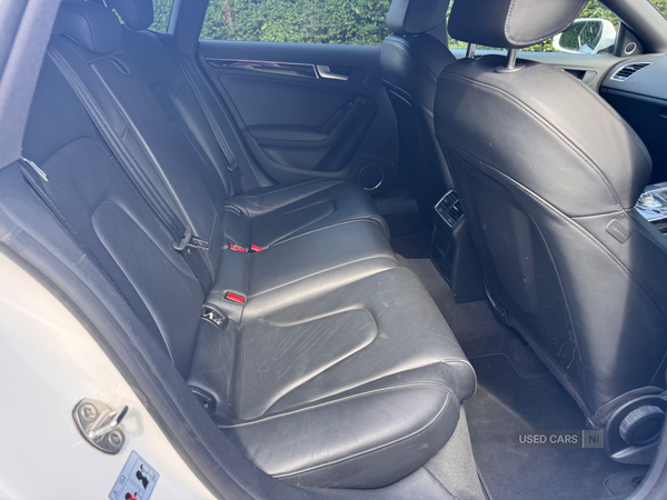 Audi A5 SPORTBACK SPECIAL EDITIONS in Down