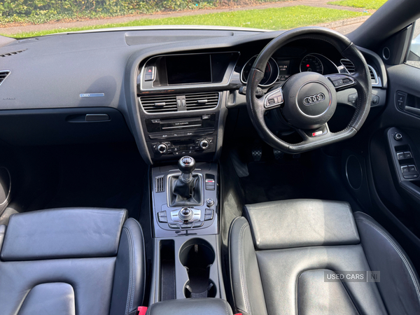 Audi A5 SPORTBACK SPECIAL EDITIONS in Down