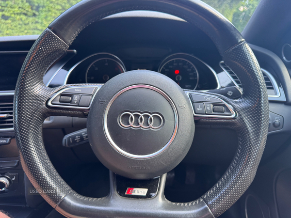 Audi A5 SPORTBACK SPECIAL EDITIONS in Down