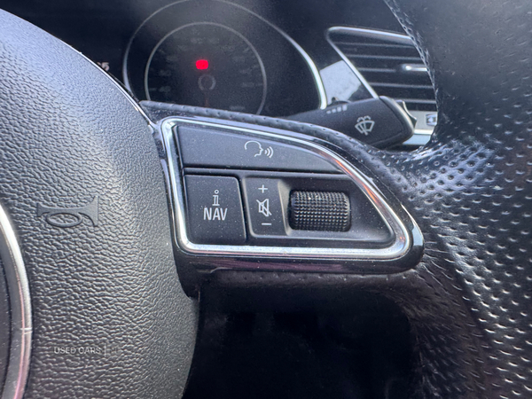 Audi A5 SPORTBACK SPECIAL EDITIONS in Down