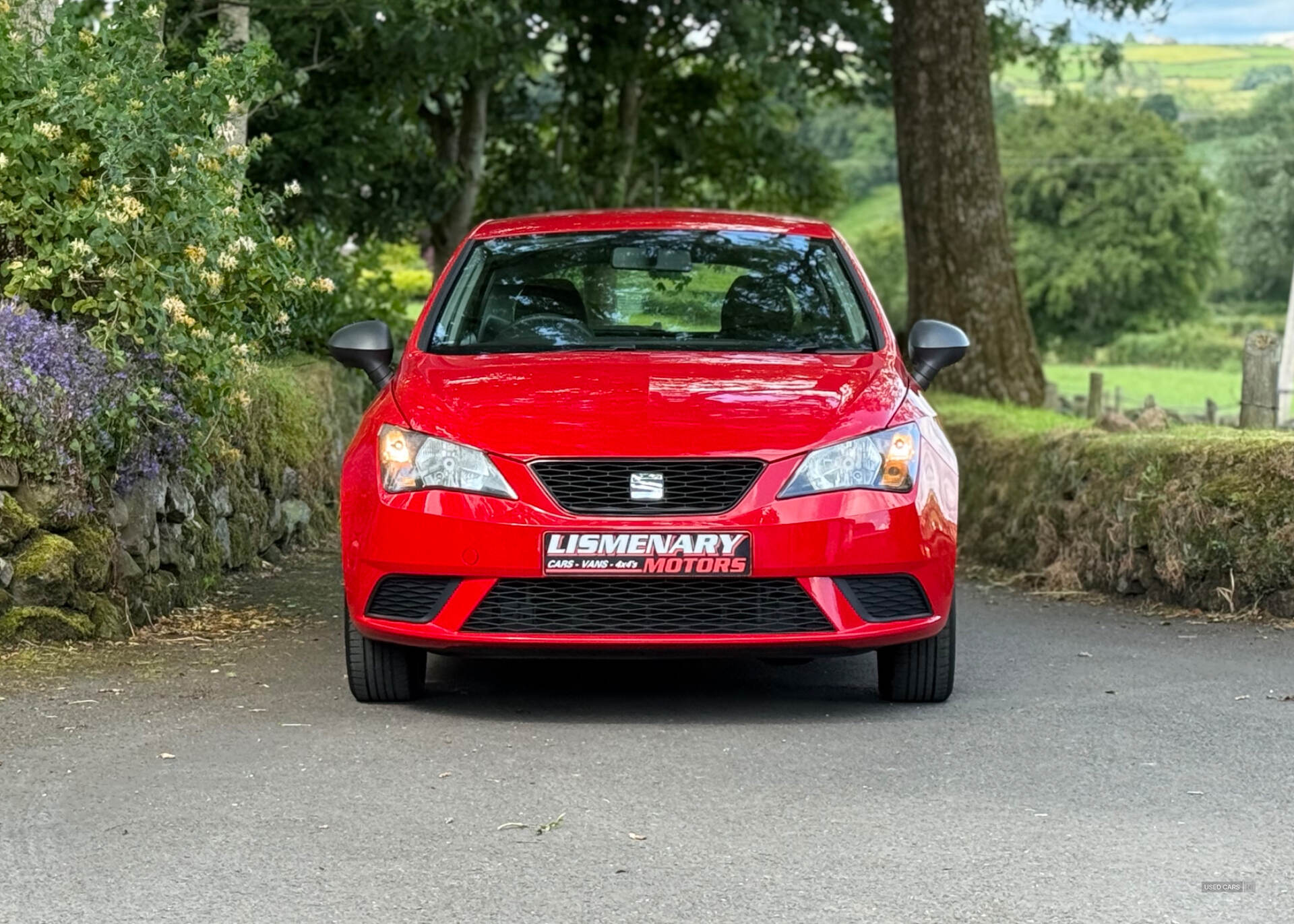 Seat Ibiza HATCHBACK SPECIAL EDITION in Antrim
