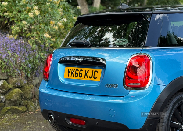 MINI Hatch in Antrim