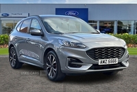 Ford Kuga 2.5 FHEV ST-Line X Edition 5dr CVT**OPENING PAN ROOF - POWER TAILGATE - HEATED SEATS FRONT & REAR - HEATED STEERING WHEEL - B&O AUDIO - LANE ASSIST** in Antrim