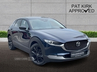 Mazda CX-30 2.5 e-Skyactiv G MHEV [140] Homura 5dr in Tyrone