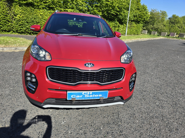 Kia Sportage DIESEL ESTATE in Down