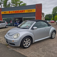Volkswagen Beetle CABRIOLET in Tyrone
