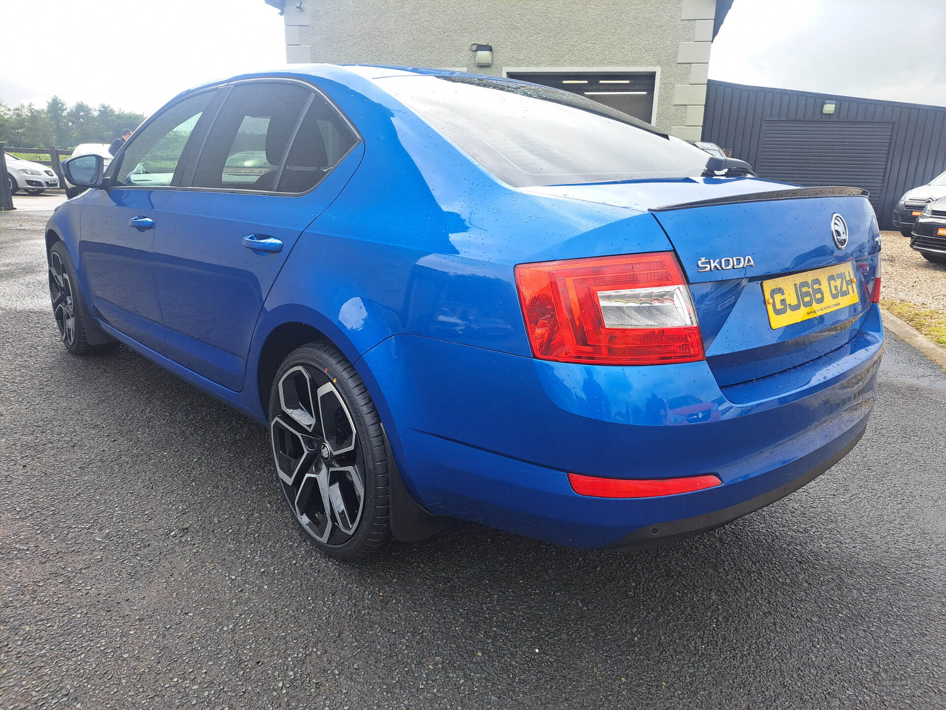 Skoda Octavia DIESEL HATCHBACK in Tyrone