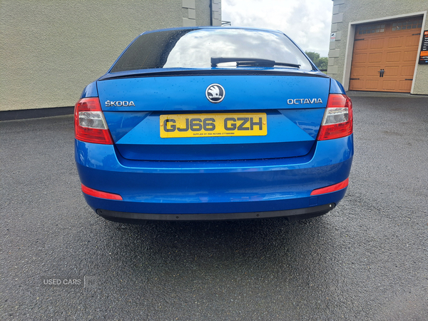 Skoda Octavia DIESEL HATCHBACK in Tyrone