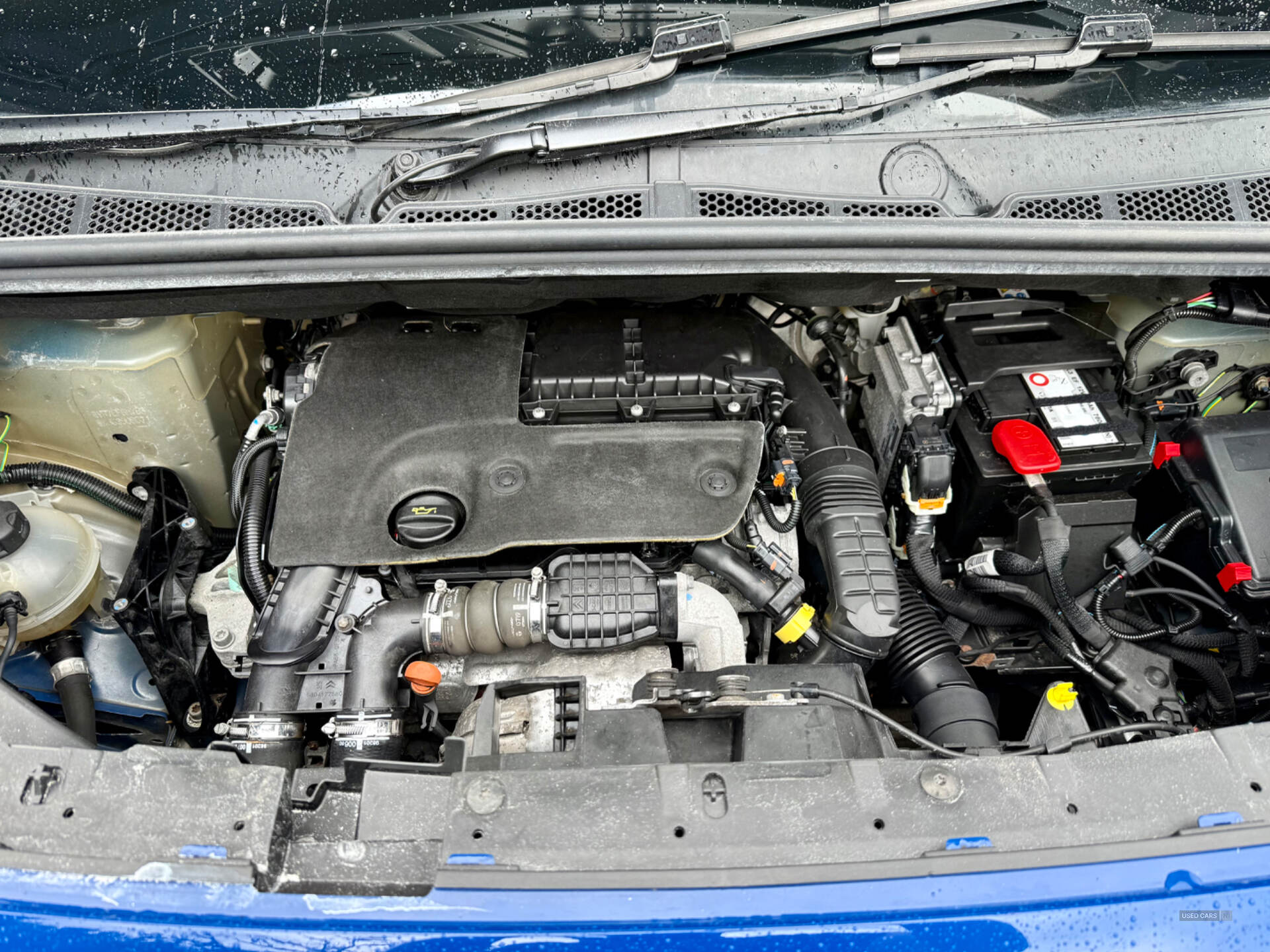 Citroen Berlingo XL DIESEL in Derry / Londonderry