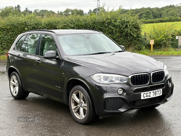 BMW X5 DIESEL ESTATE in Antrim