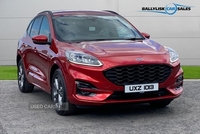 Ford Kuga 2.0 EcoBlue MHEV ST-Line in Lucid Red with 32K in Armagh
