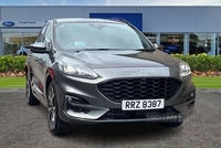 Ford Kuga 1.5 EcoBlue ST-Line X First Edition 5dr- Panoramic Sunroof in Antrim