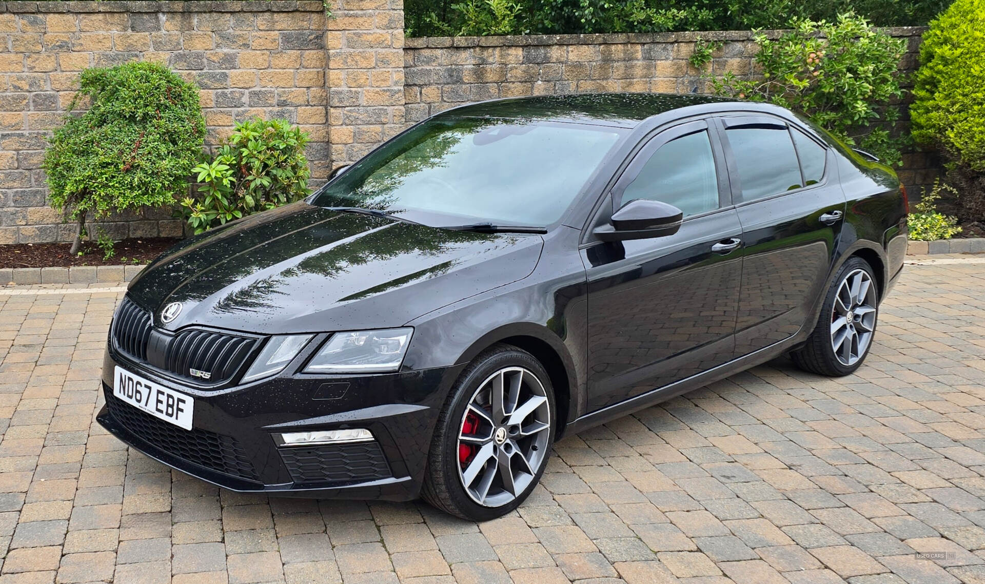 Skoda Octavia DIESEL HATCHBACK in Armagh