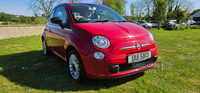 Fiat 500 HATCHBACK in Antrim