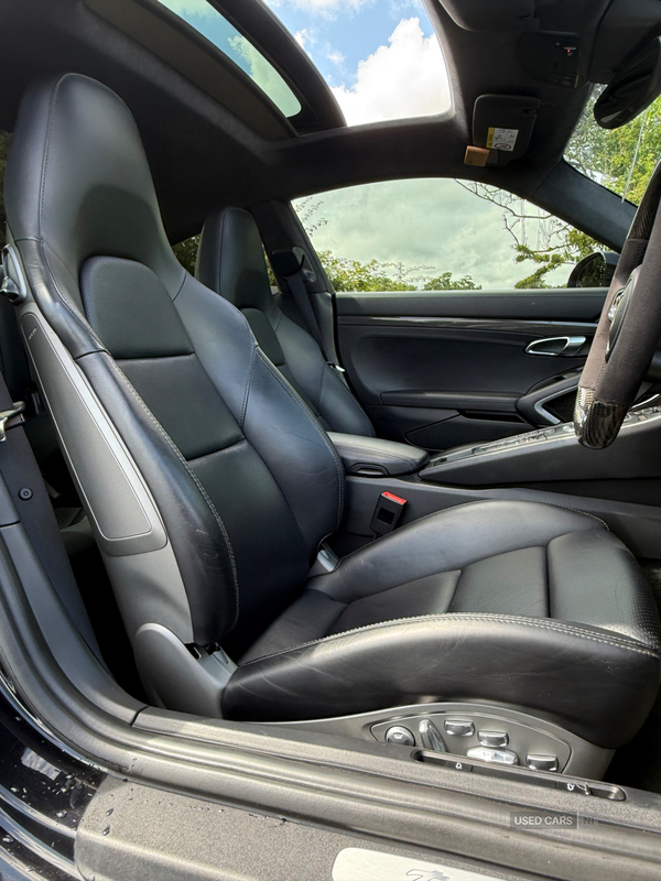 Porsche 911 [991] TURBO COUPE in Down