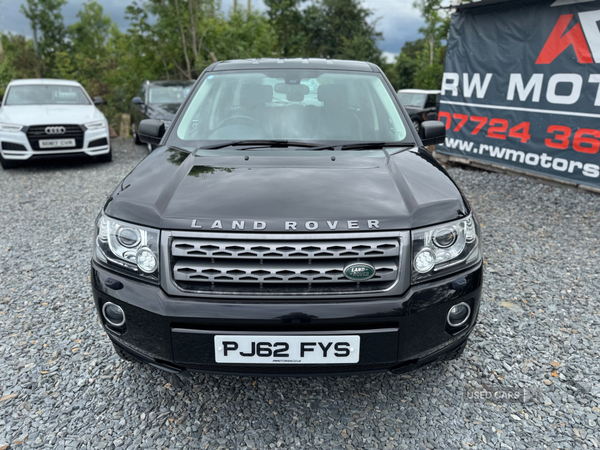 Land Rover Freelander DIESEL SW in Armagh