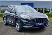 Ford Kuga 1.5 EcoBoost 150 ST-Line Edition 5dr - POWER TAILGATE, TOW BAR, REVERSING CAMERA w/ SENSORS, CRUISE CONTROL, KEYLESS GO, POWER DRIVERS SEAT, SAT NAV in Antrim